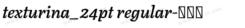 texturina_24pt regular字体转换 texturina_24pt regular字体转换